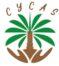 Cycas